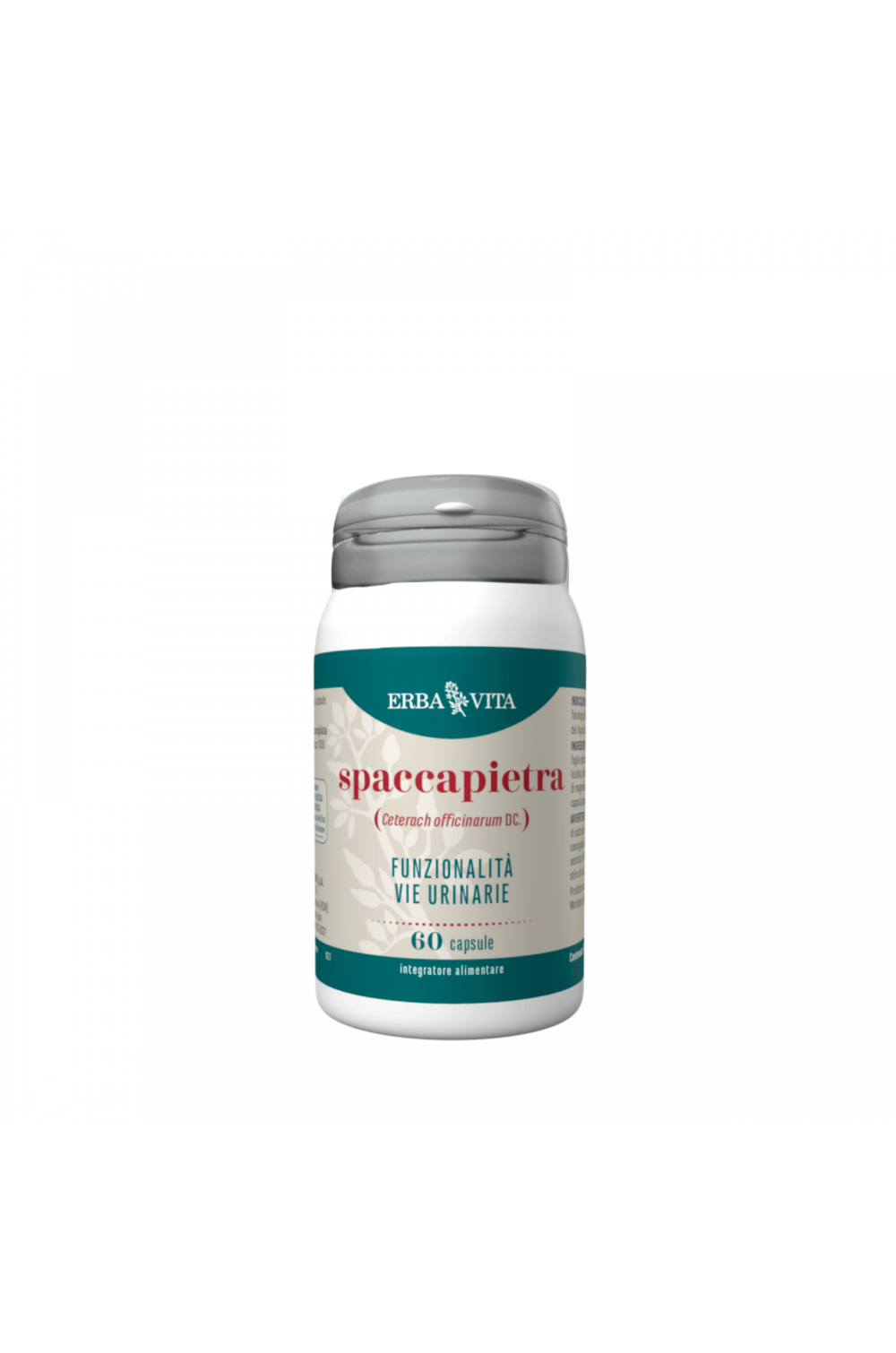 Erba Vita Spaccapietra 60 Capsule Integratore Funzionalità Urinaria