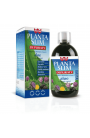 Winter Planta Slim Depuraty 500 ml