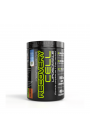 Net Integratori Recovery Cell Liposomiale Post Workout 330 gr