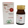 Alta Natura Rhodiola Rosea Rodiola estratto secco 100 tavolette