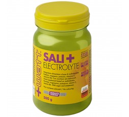 +Watt Sali+ Electrolyte 500 gr Sali Minerali con Vitargo