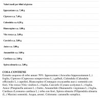 Tisanoreica Estratto 28 Riducente 500 ml