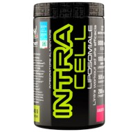 Net Integratori Intracell Integratore Intra Workout 440 gr Gusto Arancia