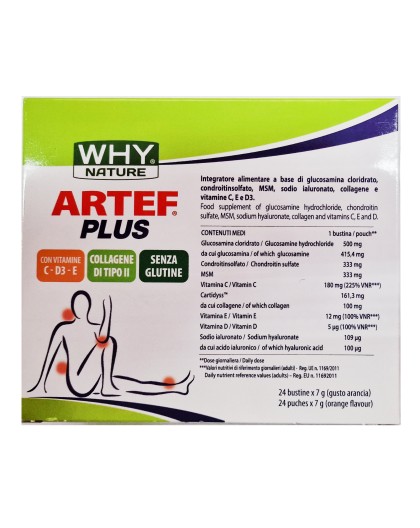 WHY Nature Artef Plus 24 bustine