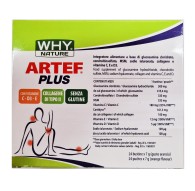 WHY Nature Artef Plus 24 bustine