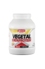Why Sport 100% Vegetal Protein 750 gr. Proteine Vegetali Vegane senza Lattosio