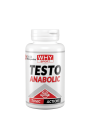 WHY Sport Testo Anabolic 90 cpr