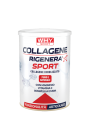 WHY Sport Collagene Rigenera SPort 336 gr con vitamina C e Boswellia